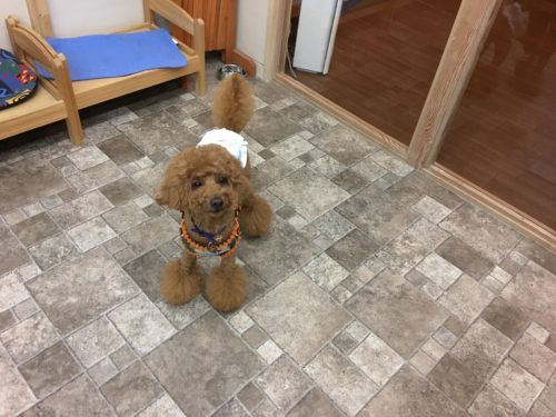 0d149d2d-1a9f-4048-8d6a-f91008ee177c