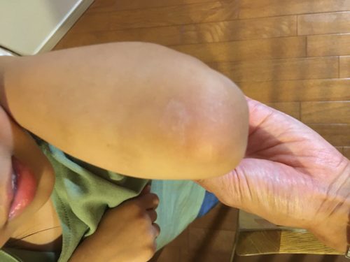 2aabaecf-2f26-49ec-b718-f5ccc7dd1b70