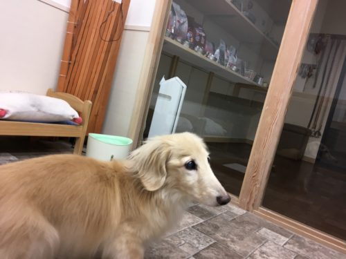 a4ecc2b0-7100-4178-afb8-0657ad70ac2f