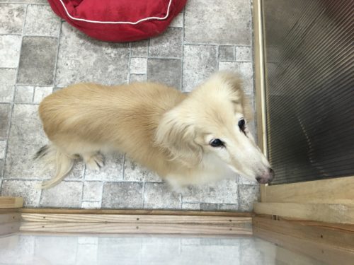 a7a29ec1-8263-4fe5-89b4-62d8e36dd204