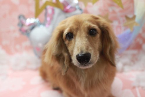 bcfb4bb5-4c73-4c10-810c-9e01917e2860