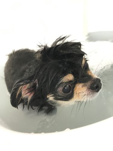 0152407e-76fa-4491-aabf-d11707d0a2ba