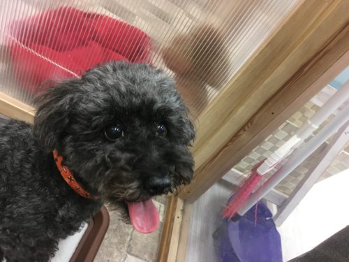 f14ecbf6-16cd-40d7-9a07-f8cb8b6a687a