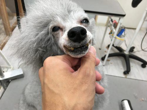 98be6013-ca6a-4e79-a3be-ecb2d403db86