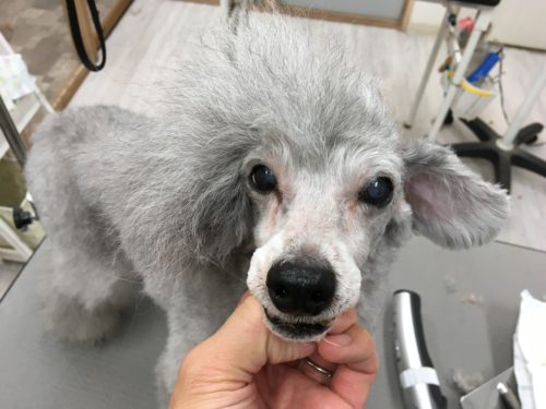 a383ffd7-4c60-4c77-b355-9d48f72ce75b