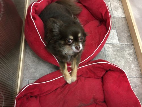 c2a7f270-9c83-4a33-813b-3aa6d5aaa308