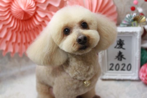 54109a46-373d-42d9-8e08-96b5f671b735