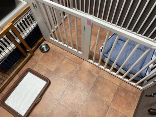 03595069-4715-4138-9202-0b33b23c024f