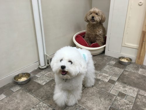 191ad9fb-72d9-4004-bd0f-f1db3ea86180