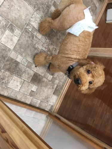 34cd119c-1777-4a9b-97da-645360212fe7