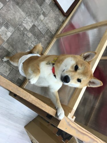 59863279-9bdb-44c6-a914-f9ead8506f5f