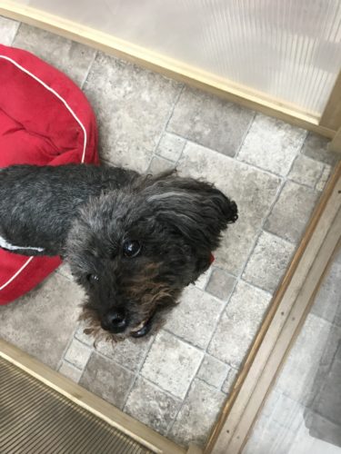 738cd170-d982-4d14-84cc-3acf2357fa51