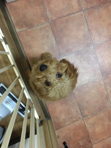 d3f011d8-3d70-43c4-89e5-050d452de3be