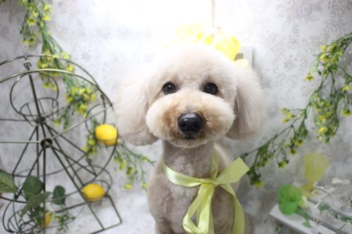 413811de-e138-4bcd-88f6-c2bb94672f66