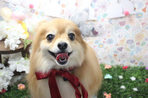 0404%e4%b8%89%e5%a5%bd%e3%82%af%e3%82%a5