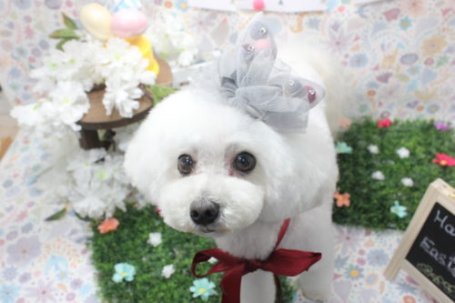 0404%e4%b8%ad%e8%be%bc%e3%81%82%e3%82%93%e3%81%98%e3%82%85