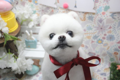 0404%e5%a4%a7%e6%a3%ae%e4%b8%80%e6%ad%a9