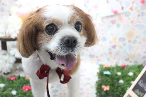 0404%e6%9c%a8%e6%9b%bd%e3%83%89%e3%83%bc%e3%83%ab