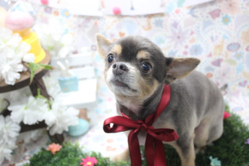 0404%e8%b0%b7%e5%8f%a3%e3%82%a8%e3%83%bc%e3%82%b9