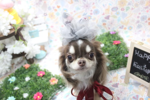 0404%e9%85%92%e4%ba%95%e3%81%84%e3%82%81