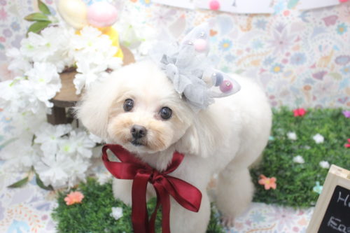 0404%e9%ab%98%e6%a9%8b%e3%81%86%e3%82%8b%e3%82%8b