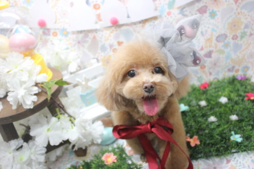 0404%e9%ab%98%e6%a9%8b%e3%82%81%e3%81%84