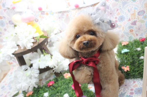 0404%e9%ab%98%e6%a9%8b%e3%82%86%e3%81%84