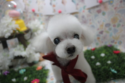 0406%e4%b8%ad%e5%b2%a1%e3%83%8f%e3%83%ab