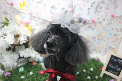 0406%e5%8a%a0%e8%97%a4%e3%83%a1%e3%83%ab%e3%83%a2