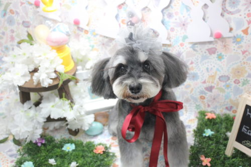 0406%e5%8f%a4%e8%b0%b7%e3%82%a2%e3%83%b3%e3%83%aa