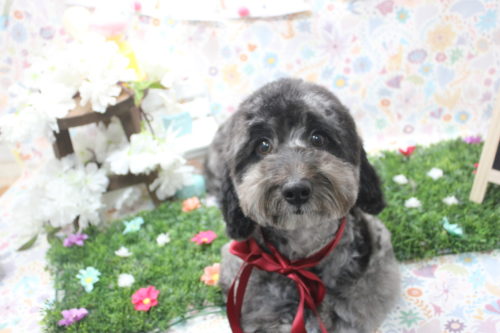 0406%e5%b2%a9%e6%9c%ac%e3%83%81%e3%83%83%e3%83%97