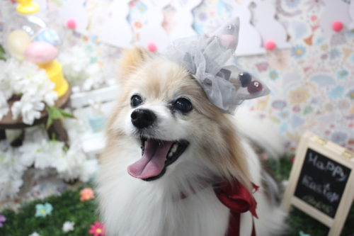 0406%e5%b7%9d%e5%8f%a3%e3%82%b7%e3%83%95%e3%82%a9%e3%83%b3