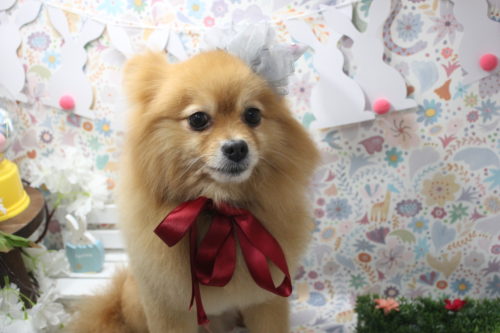 0406%e9%87%8e%e6%9d%91%e3%81%8d%e3%82%85%e3%81%86%e3%81%9f