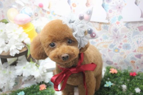 0406%e9%87%91%e6%b0%b8%e3%81%af%e3%81%a8%e3%81%85