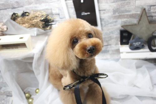 0520%e4%bb%8a%e6%b4%a5%e3%82%aa%e3%83%85%e3%83%9e