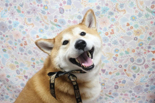 0520%e5%90%89%e8%89%af%e5%a4%a7%e5%90%89