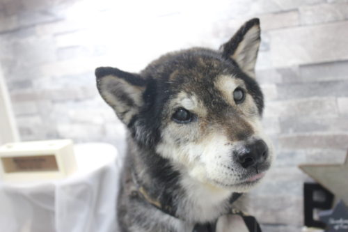 0520%e5%90%89%e8%89%af%e5%a4%a7%e5%92%8c