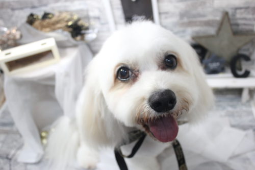 0520%e5%b0%8f%e5%b7%9d%e3%81%b7%e3%81%86%e3%81%9f