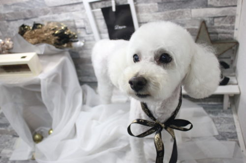 0520%e5%b2%a1%e6%9c%ac%e3%83%ab%e3%82%a4