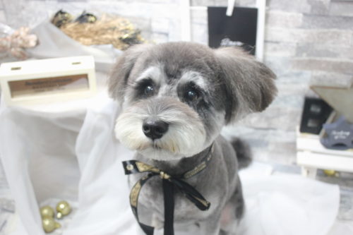 0520%e6%96%b0%e5%b7%9d%e3%81%ae%e3%81%88%e3%82%8b