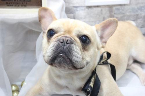 0520%e6%9d%91%e6%a4%bf%e3%83%ad%e3%83%93%e3%83%b3