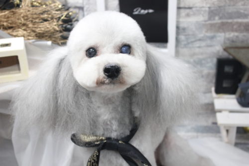 0520%e6%9e%97%e3%82%82t%e3%83%9f%e3%83%ab%e3%82%ad%e3%82%a3%e3%83%bc