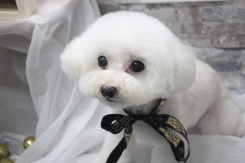 0520%e6%9e%97%e5%85%83%e3%82%a2%e3%83%b3%e3%82%b8%e3%83%a5