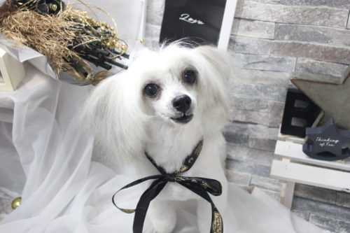 0520%e6%a6%8a%e5%8e%9f%e3%82%ab%e3%83%aa%e3%83%b3