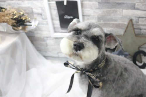 0521%e6%9c%a8%e7%94%b027