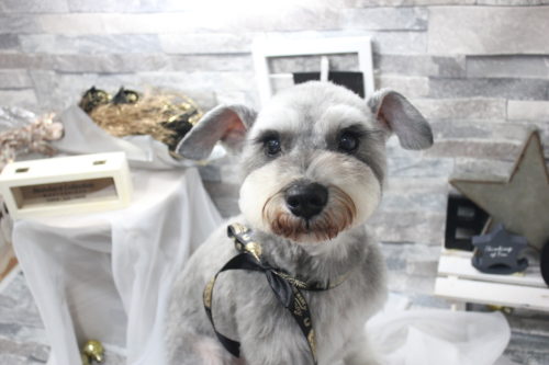 0521%e6%9c%a8%e7%94%b0%e7%91%a0%e9%a7%86