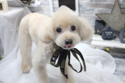 0521%e6%9e%97%e5%85%83%e3%82%a8%e3%83%bc%e3%83%ab