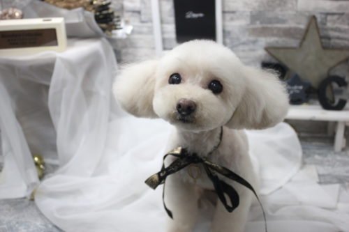 0521%e6%9e%97%e5%85%83%e3%83%a1%e3%83%ab%e3%83%a2