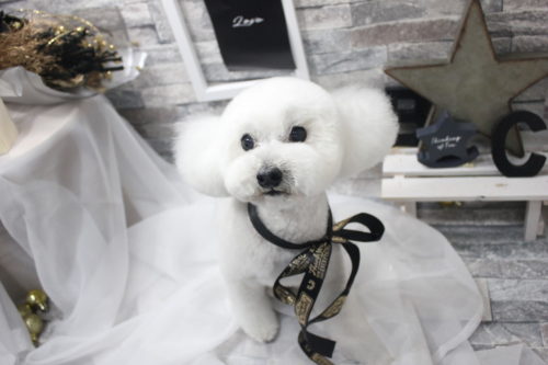 0521%e7%95%aa%e6%89%80%e3%81%a8%e3%82%8f