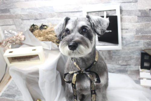 0521%e7%a6%8f%e5%b2%a9%e8%98%ad